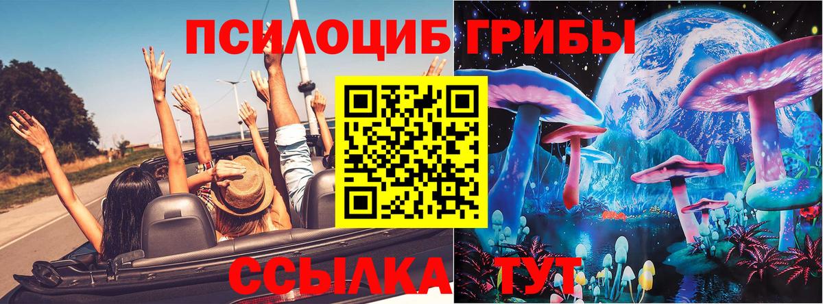 Новоуральск  Псилоцибиновые грибы Cubensis  Вход с VPN 